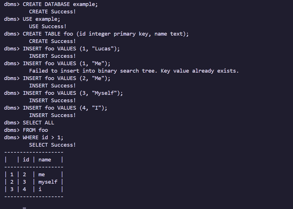 Commands being run on the Mini database management system.